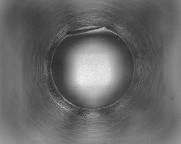 X0000052990258200507221228