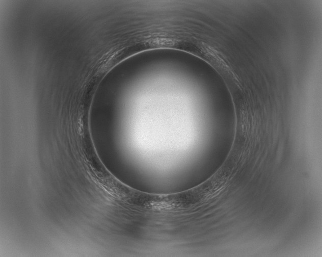 X0000052990259200507221228