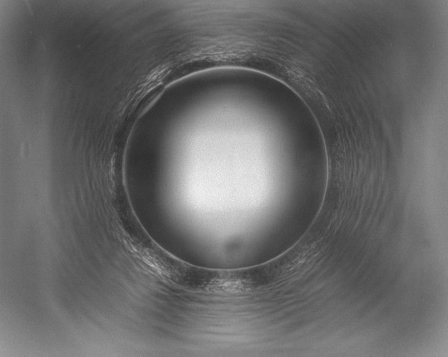 X0000052990260200507221228