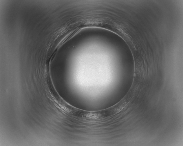 X0000052990261200507221228