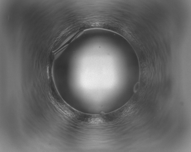 X0000052990262200507221228