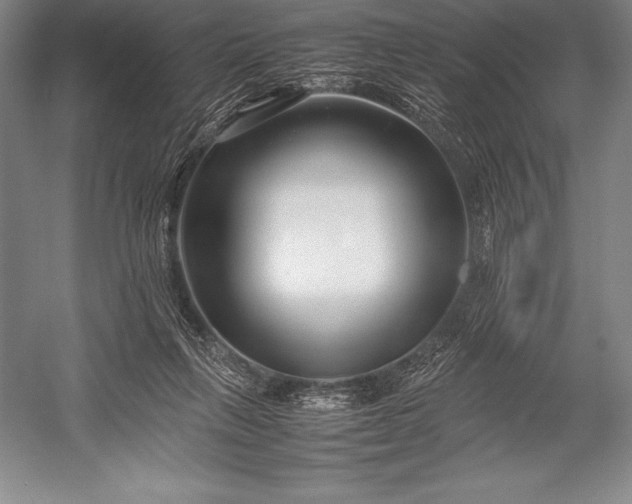 X0000052990263200507221228