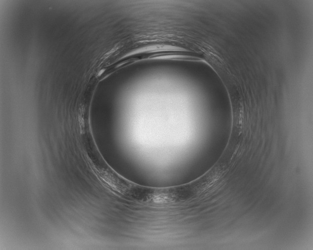 X0000052990264200507221228