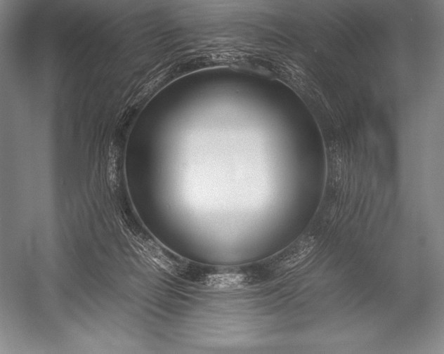 X0000052990266200507221228