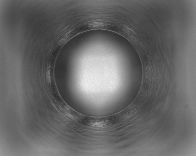 X0000052990267200507221228