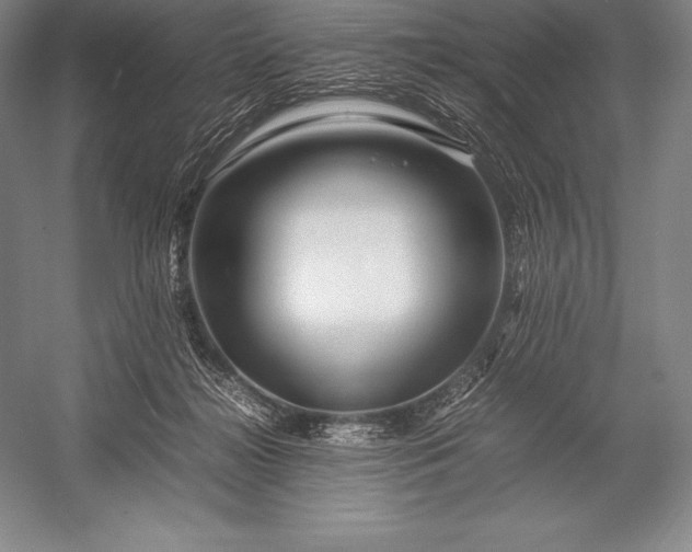 X0000052990268200507221228
