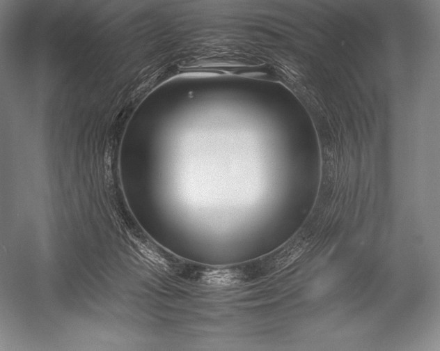 X0000052990269200507221228