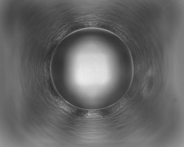 X0000052990270200507221228
