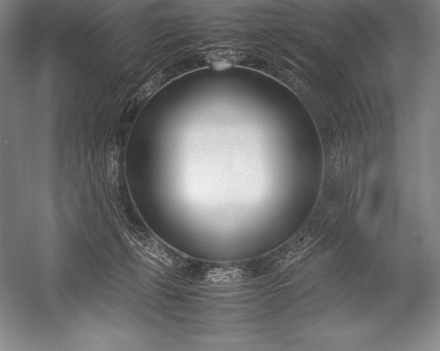 X0000052990271200507221228