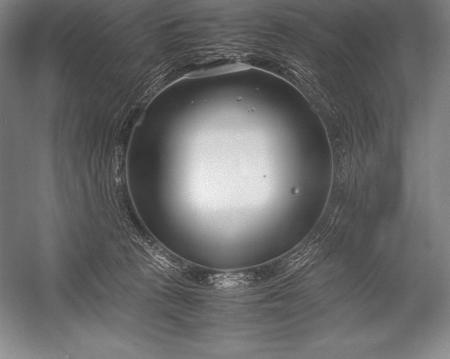 X0000052990273200507221228