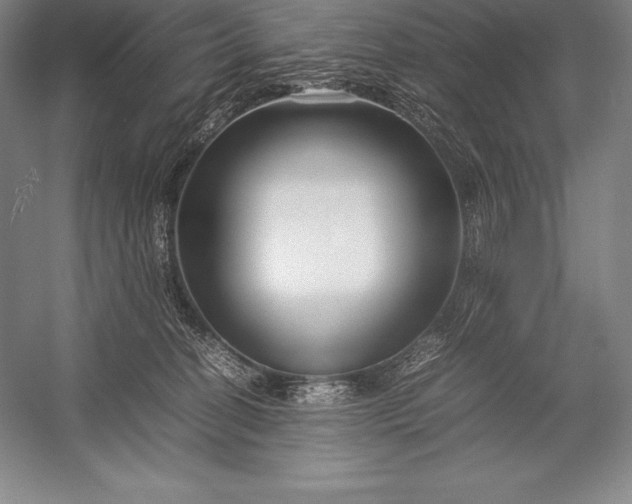 X0000052990274200507221228