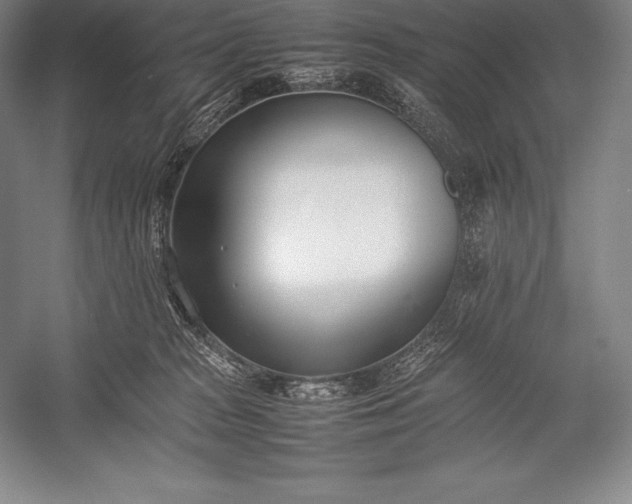 X0000052990277200507221229