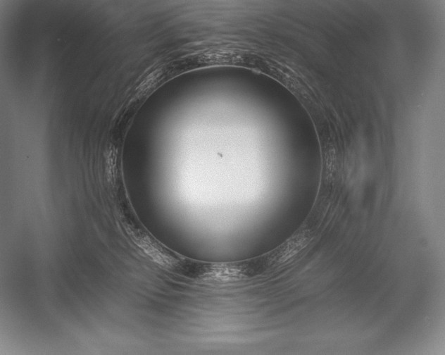 X0000052990278200507221229