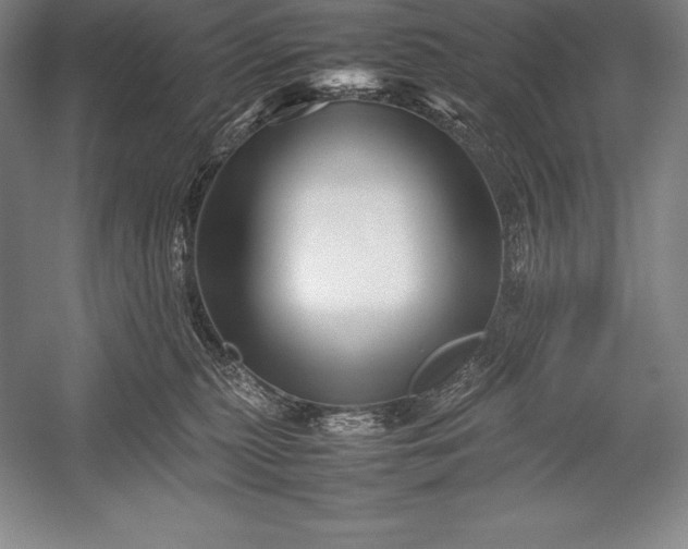 X0000052990279200507221229