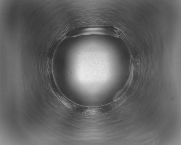 X0000052990280200507221229