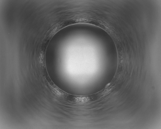 X0000052990281200507221229