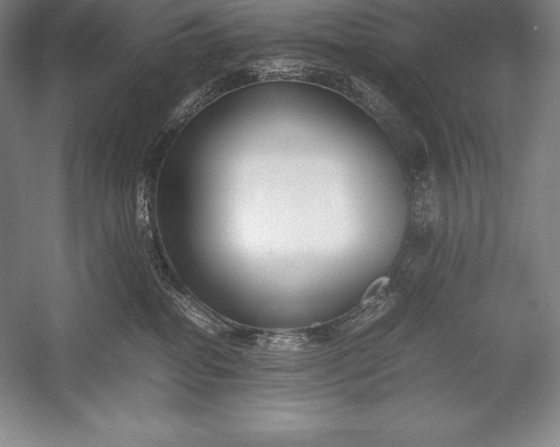 X0000052990282200507221229
