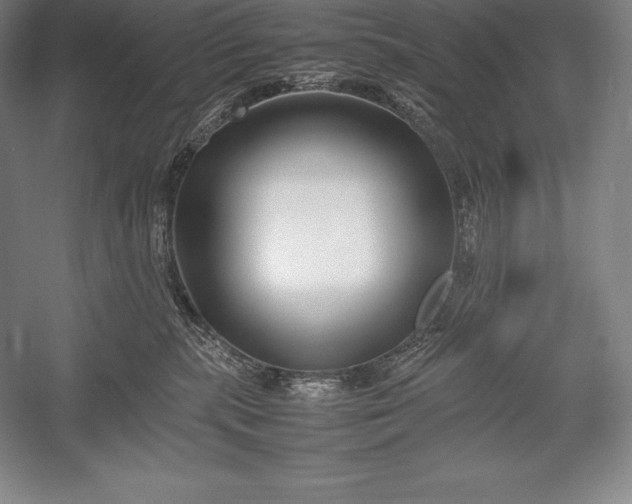 X0000052990283200507221229