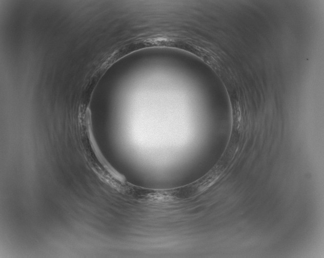 X0000052990284200507221229
