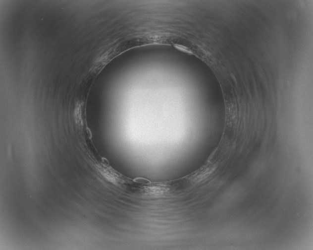 X0000052990286200507221229
