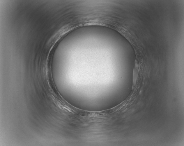 X0000052990290200507221228