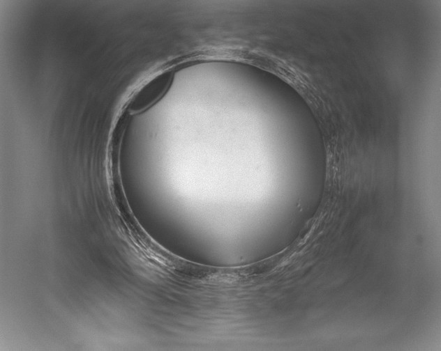 X0000052990294200507221228