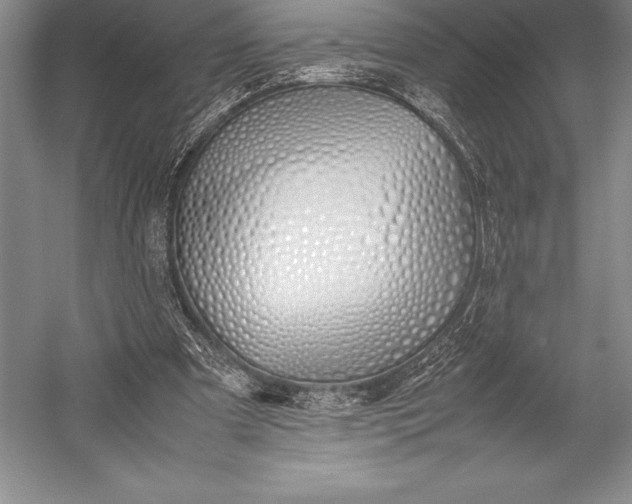 X0000052990297200507221228