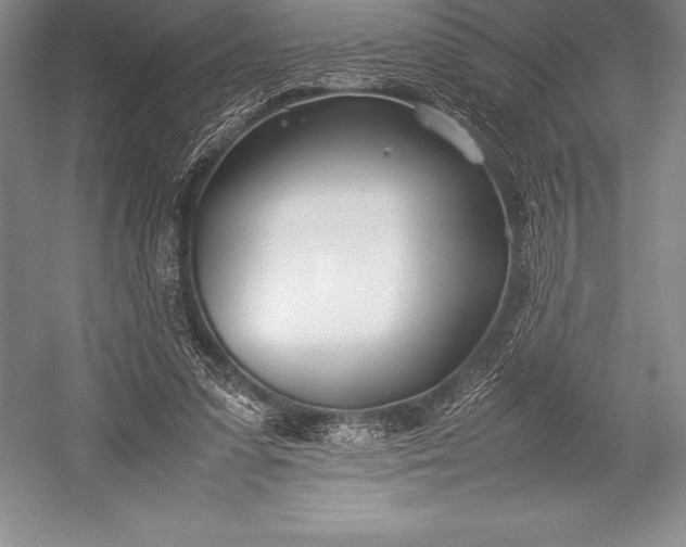 X0000052990303200507221228