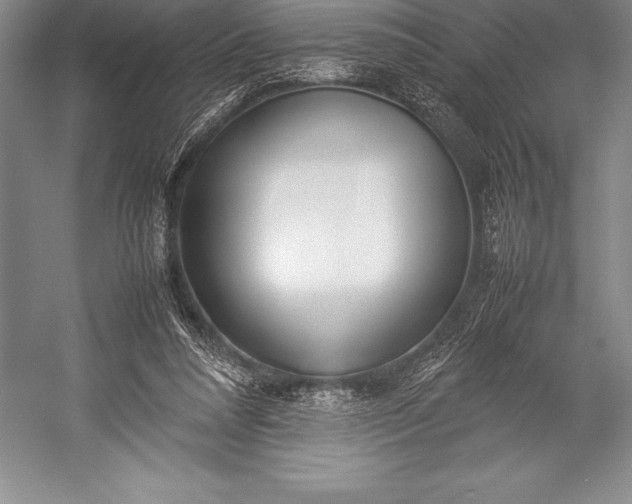 X0000052990304200507221228