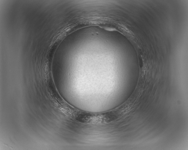 X0000052990306200507221228