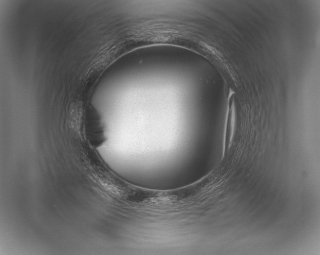 X0000052990307200507221228