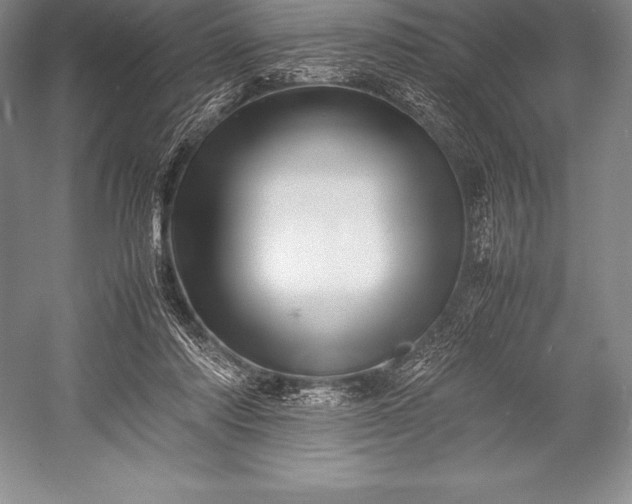 X0000052990310200507221228