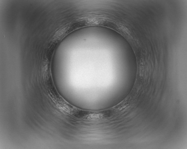 X0000052990314200507221227