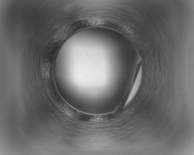 X0000052990315200507221227