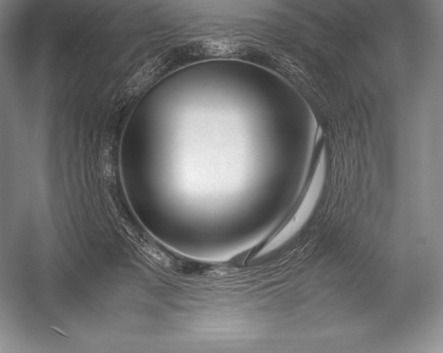 X0000052990317200507221227
