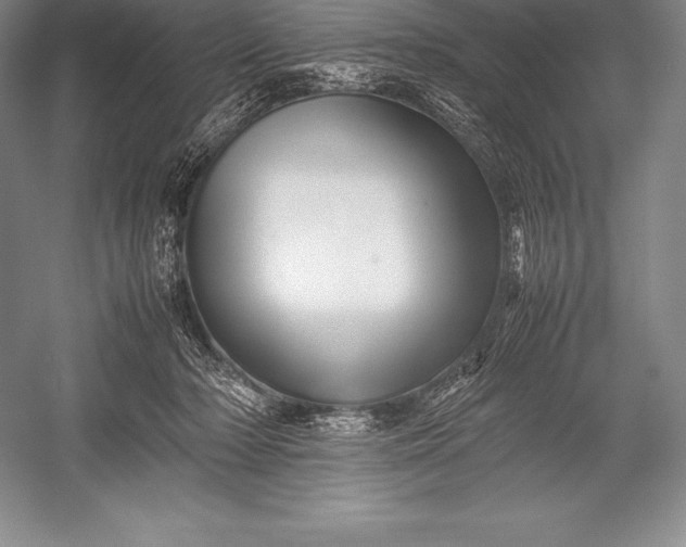 X0000052990318200507221227