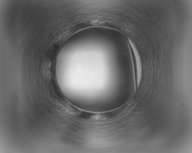 X0000052990319200507221227