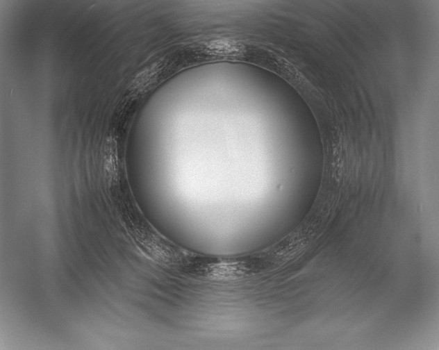 X0000052990320200507221227