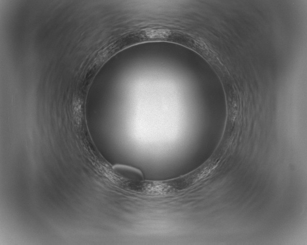 X0000052990321200507221227