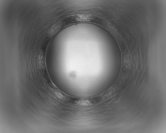 X0000052990322200507221227