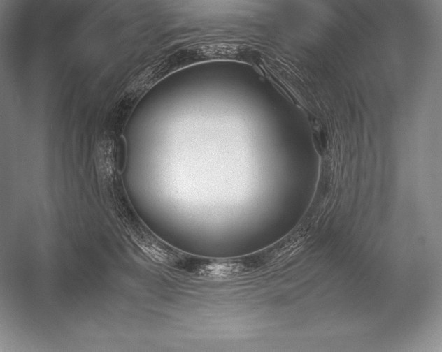 X0000052990323200507221227