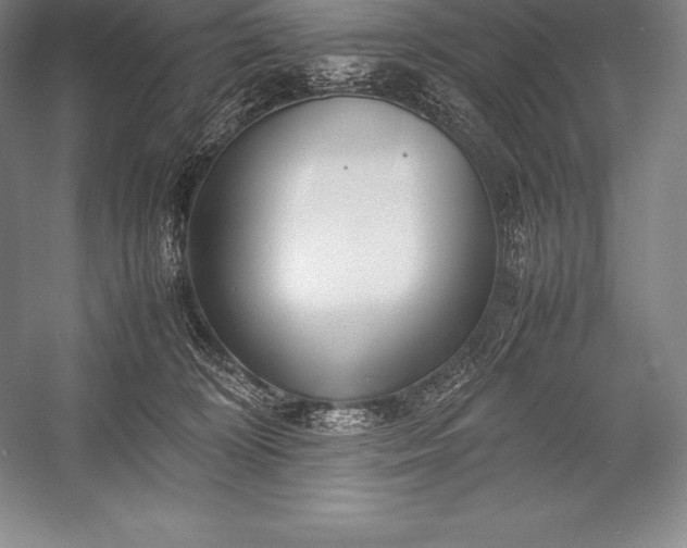 X0000052990324200507221227