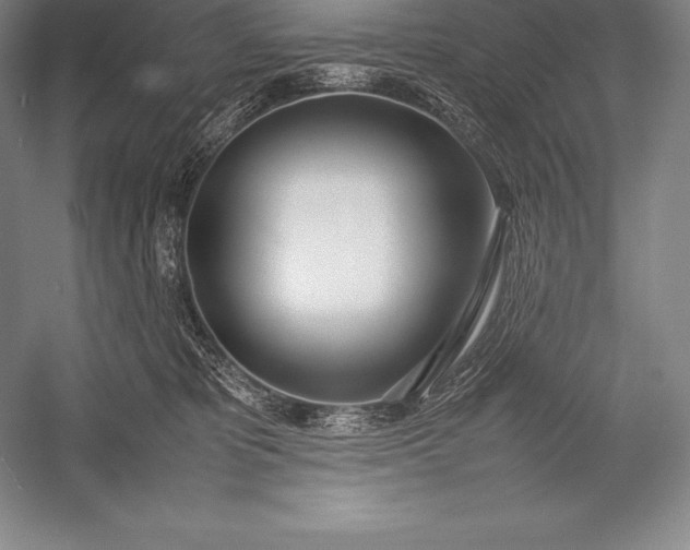 X0000052990325200507221227