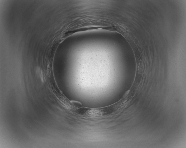 X0000052990327200507221227