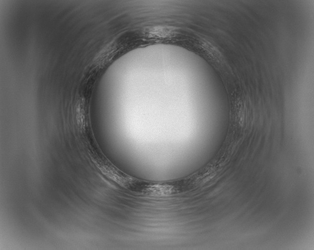 X0000052990328200507221227