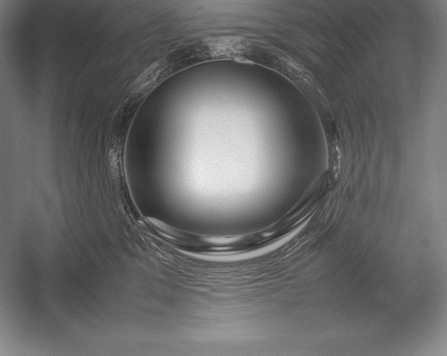 X0000052990329200507221227