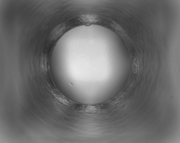 X0000052990330200507221227