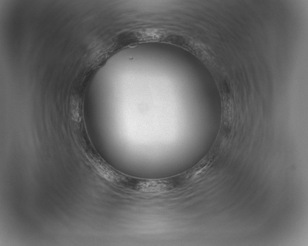 X0000052990331200507221227
