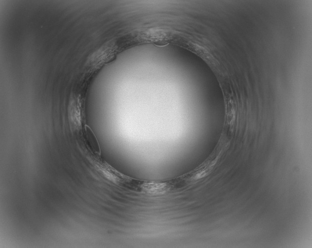 X0000052990334200507221227