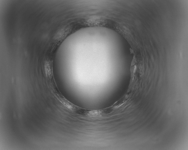 X0000052990335200507221227